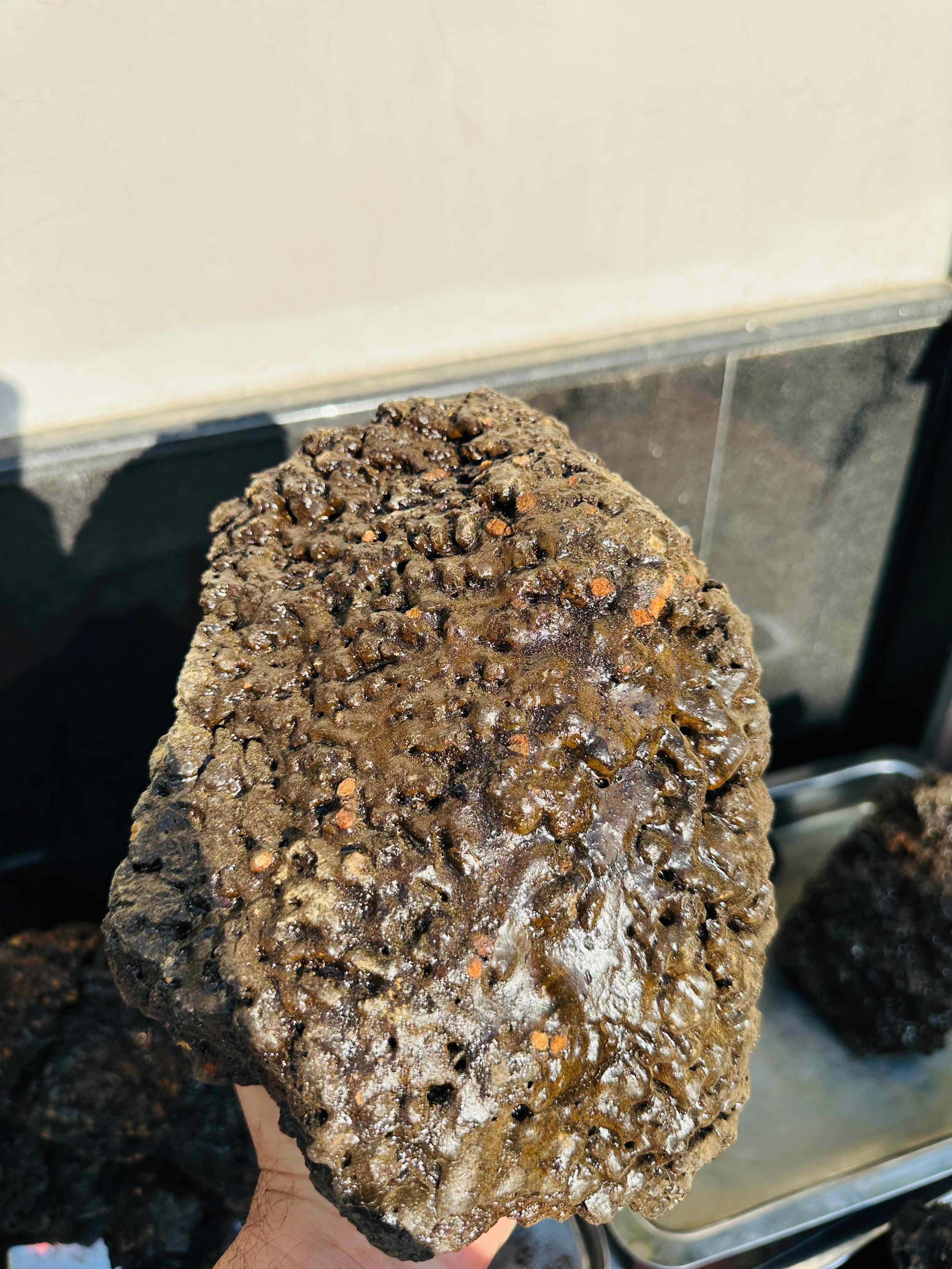 Shilajit - Image 7