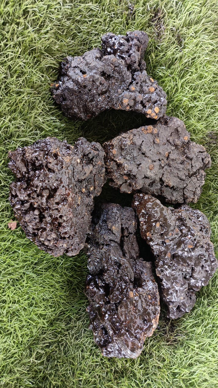 Shilajit - Image 8